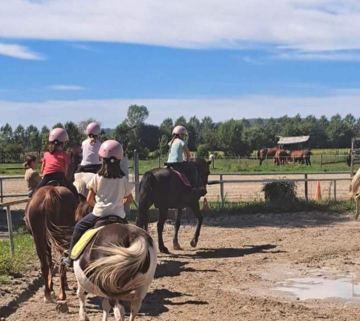 Poney club Saint-Savin