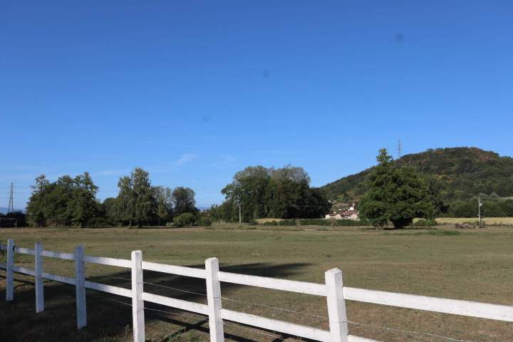 Pré pour pension de chevaux Saint-Savin