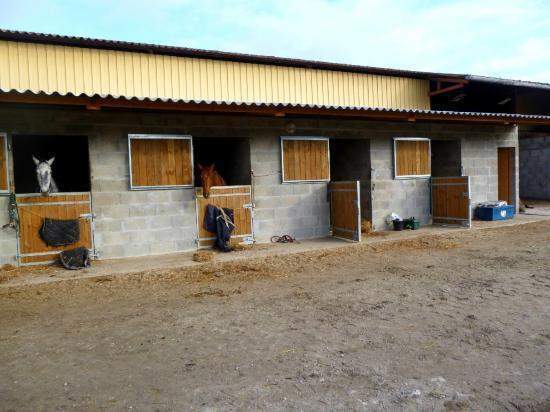 Est-ce que l'équitation est un sport dangereux ? Saint-Savin<br>L'équitation à Saint-Savin est-elle un sport dangereux ? <br>Faire de l'équitation à Saint-Savin est-il dangereux ?