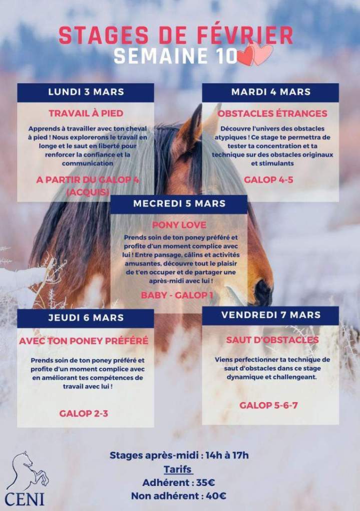 Stages de Février 2025 - Semaine 10