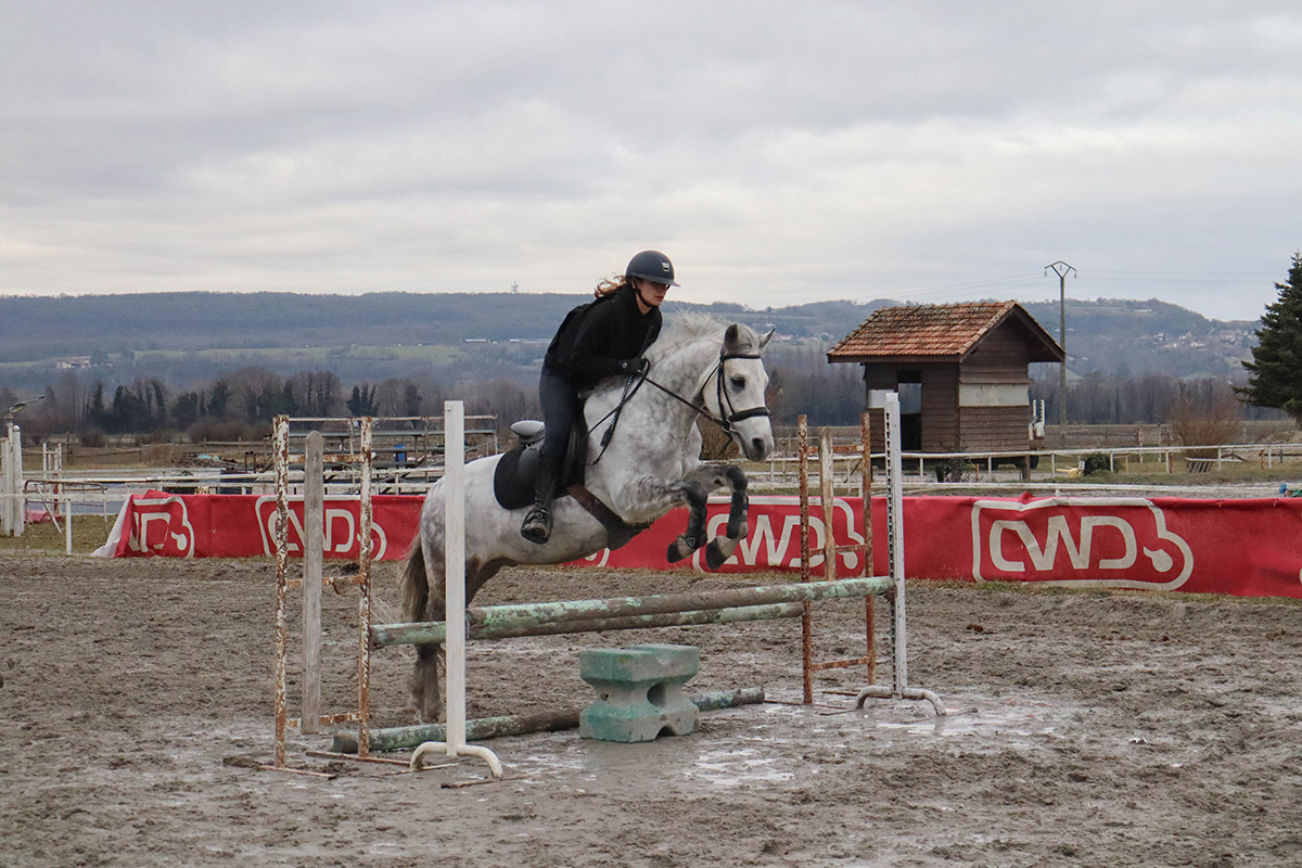 Stage équitation Saint-Savin