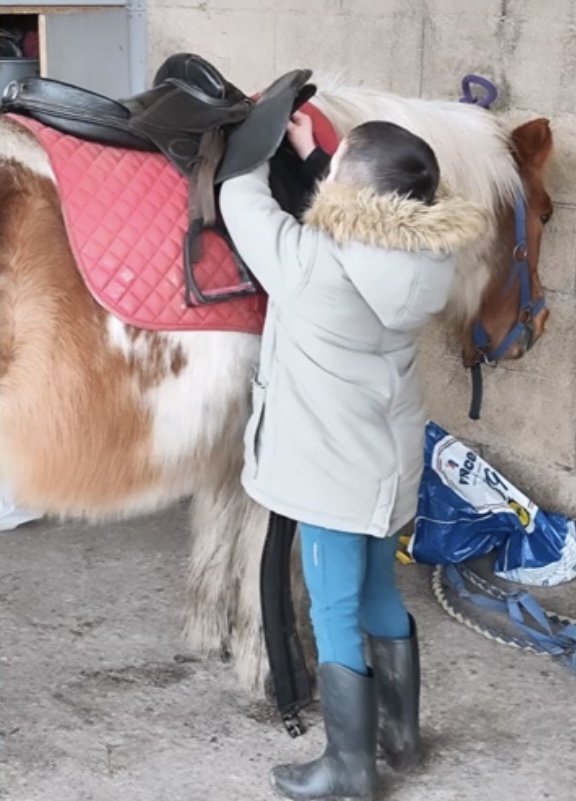 Pension de Stage équitation Bourgoin-Jallieucheval Lyon