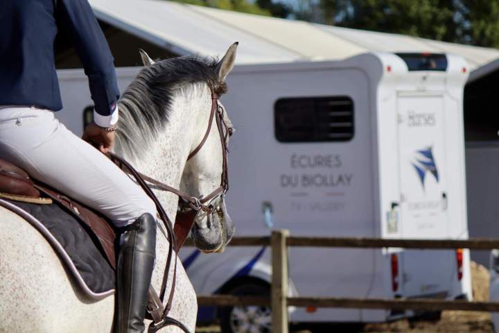 Activités équestres Saint-Savin