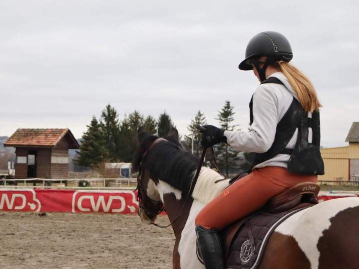 Cours équitation enfant adulte Saint-Savin