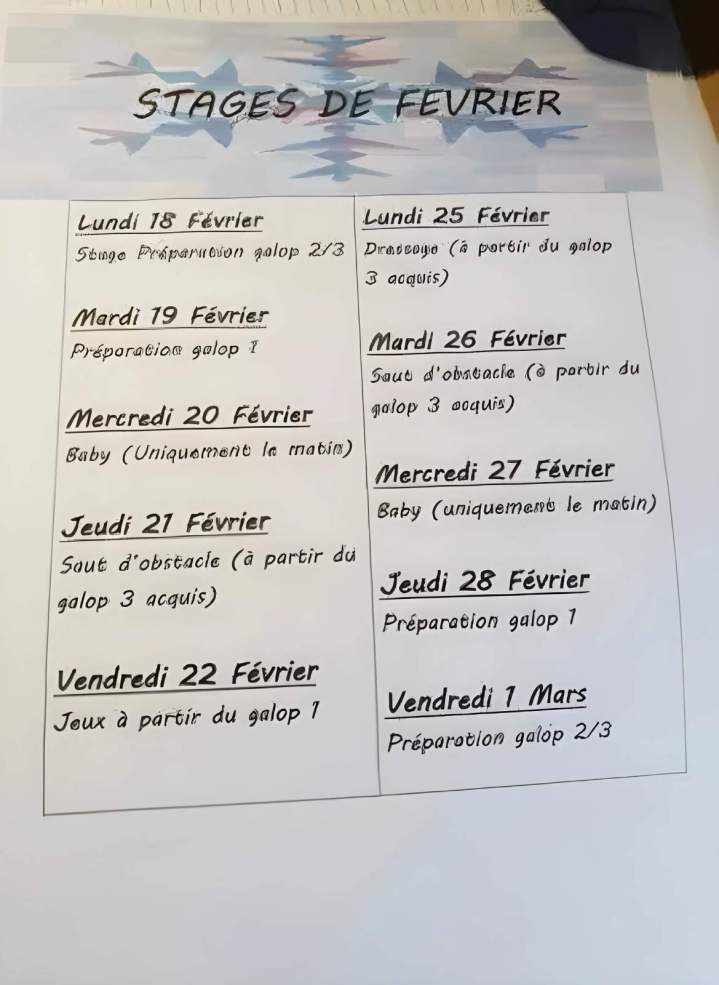 Stages de février Saint-Savin