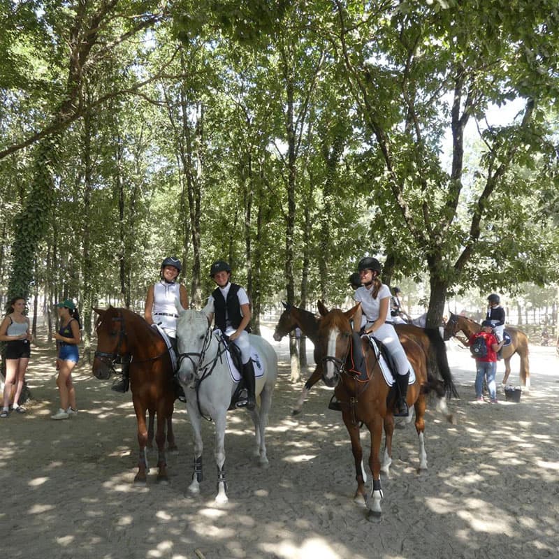 Stage équitation Saint-Savin