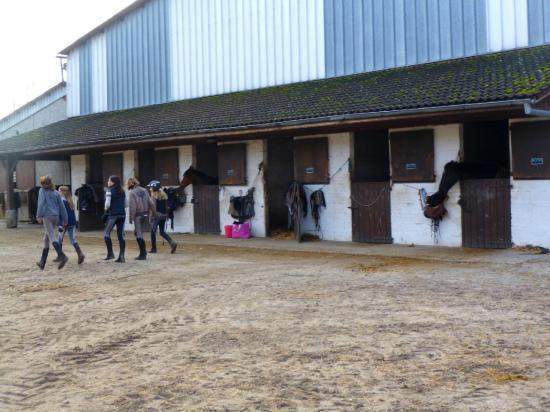 Quelle partie du corps travaille le plus dans l’équitation ? Saint-Savin<br/>Quels muscles travaillent le plus en équitation ? Saint-Savin<br>Quelle zone du corps est la plus sollicitée en équitation ? Saint-Savin