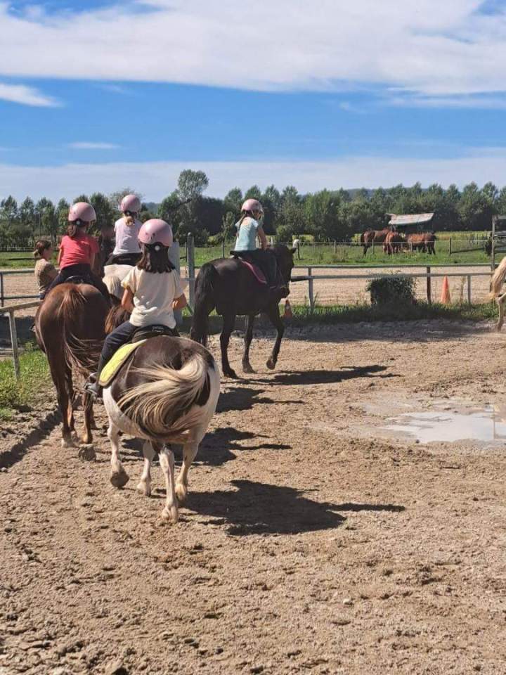Poney club Saint-Savin