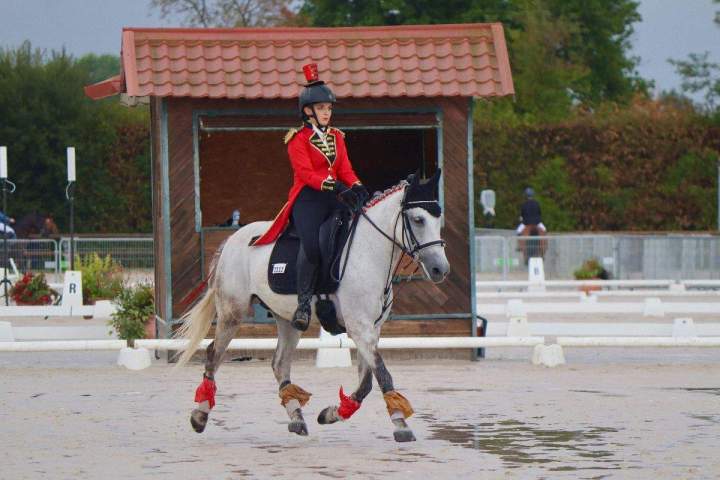 Compétition hippiques Saint-Savin