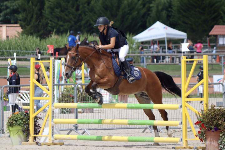Compétition équestre pour tous les niveaux Saint-Savin