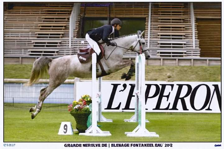 Grande semaine de l'élevage Fontainebleau 2012 