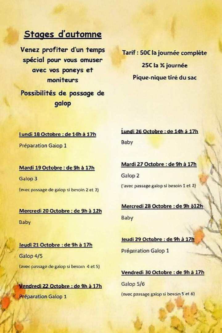 Stage d'automne 2020