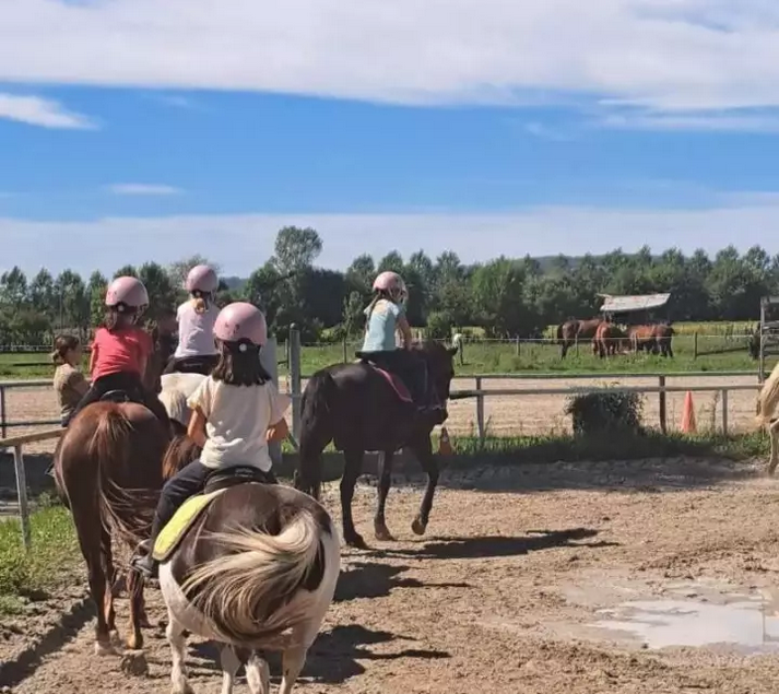 Cours d'équitation