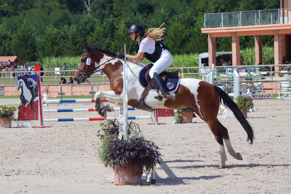 Concours d'équitation Saint-Savin