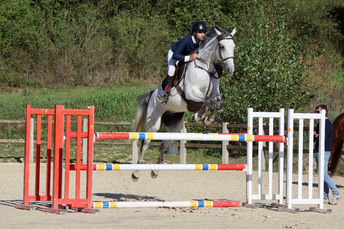 Comment participer à un concours d'équitation, Saint-Savin