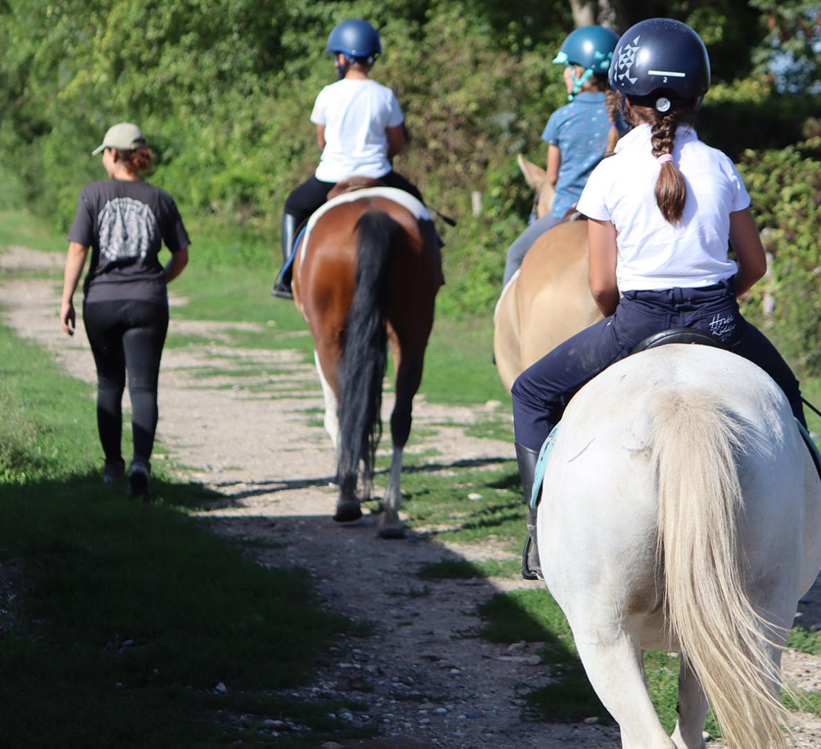 Quel est le prix d’un cours d’équitation ? Saint-Savin