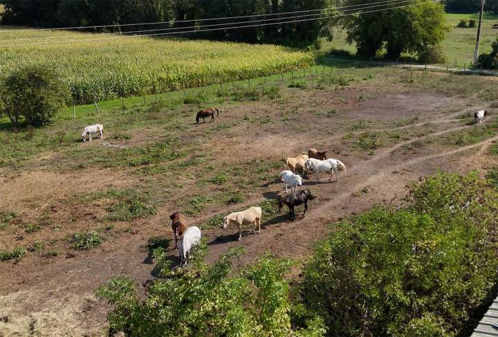 Hébergement de qualité pour votre cheval