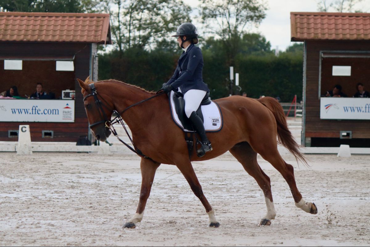 Quel est le pays d'origine de l'équitation ? Saint-Savin