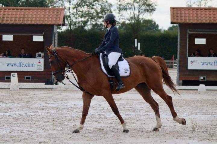 Quelles sont les activités proposées dans un centre équestre ? Saint-Savin<br>Quelles activités pratiquer dans un centre équestre à Saint-Savin ?<br>À quelles activités s’adonner dans un centre équestre à Saint-Savin ?