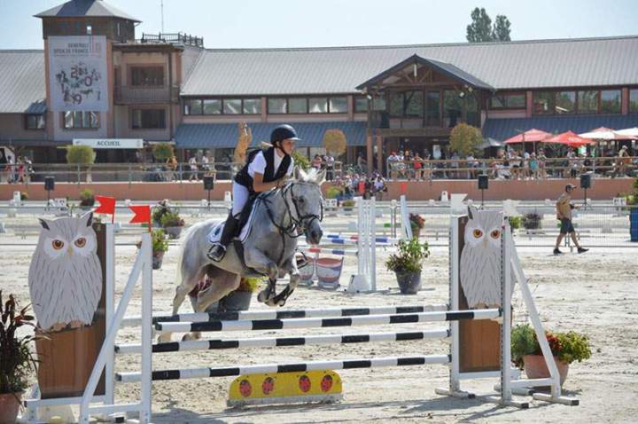 Quel statut pour un centre équestre ? Saint-Savin<br>Quel statut choisir pour un centre équestre à Saint-Savin ?<br>Quel statut choisir pour ouvrir un centre équestre à Saint-Savin ?