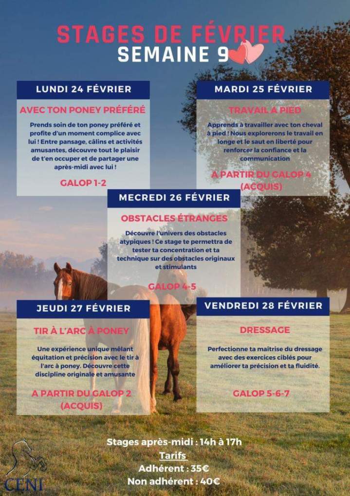 Stages de Février 2025 - Semaine 9